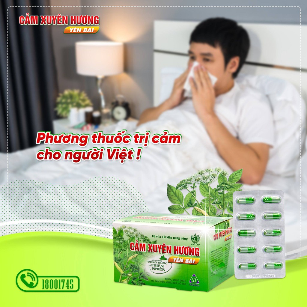 Cảm Xuyên Hương Yên Bái hộp 10 vỉ x 10 viên nang