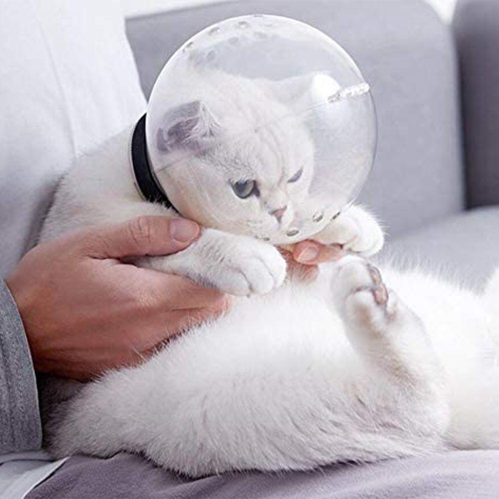 Rọ Mõm AUGUSTINA An Toàn Cho Cả Mùa Dành Cho Thú Cưng