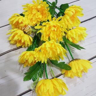 Cành hoa cúc vàng