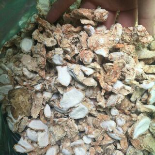 Củ địa liền 100g
