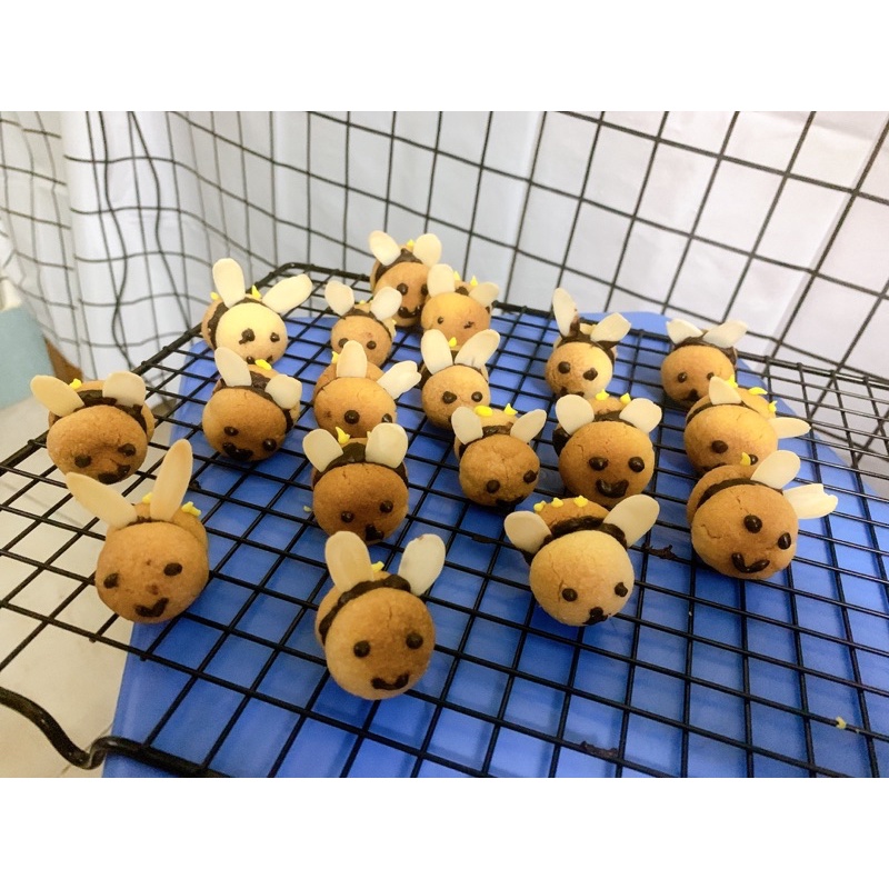 Hạt mix các loại hạt dinh dưỡng,hỗn hợp hạt dinh dưỡng 100g,hạt làn kẹo nougat,dế thuyền...