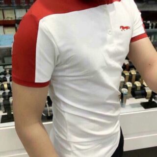 🌺🍀ÁO THUN NAM PHỐI MÀU 🌺🍀