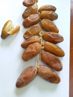 Chà là sấy khô Tunisia