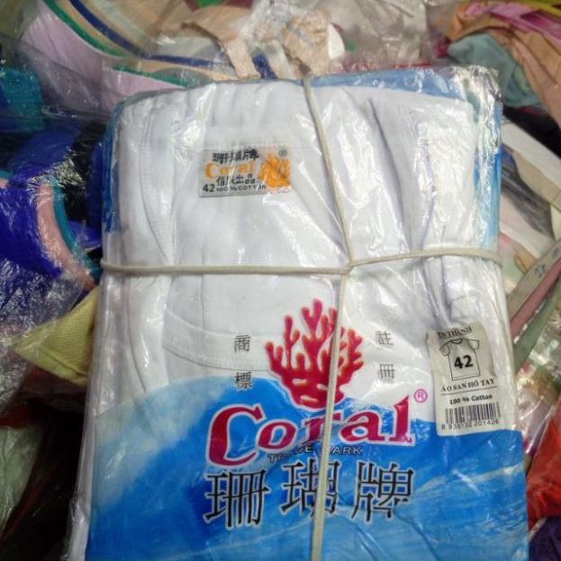 Free ship  Áo thun lót Coral có tay