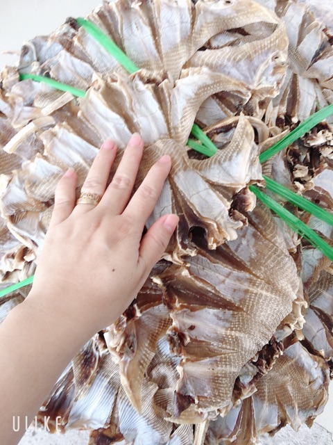 0.5kg Khô cá đuối lạt (không tẩm vị) - Đặc sản Cà Mau | BigBuy360 - bigbuy360.vn