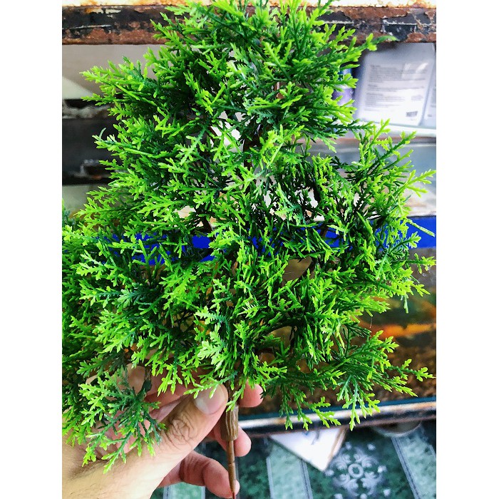 NHÁNH THÔNG GIÁ TRANG TRÍ NHÀ CỬA HỒ CÁ TIỂU CẢNH NON BỘ DÀI 30CM