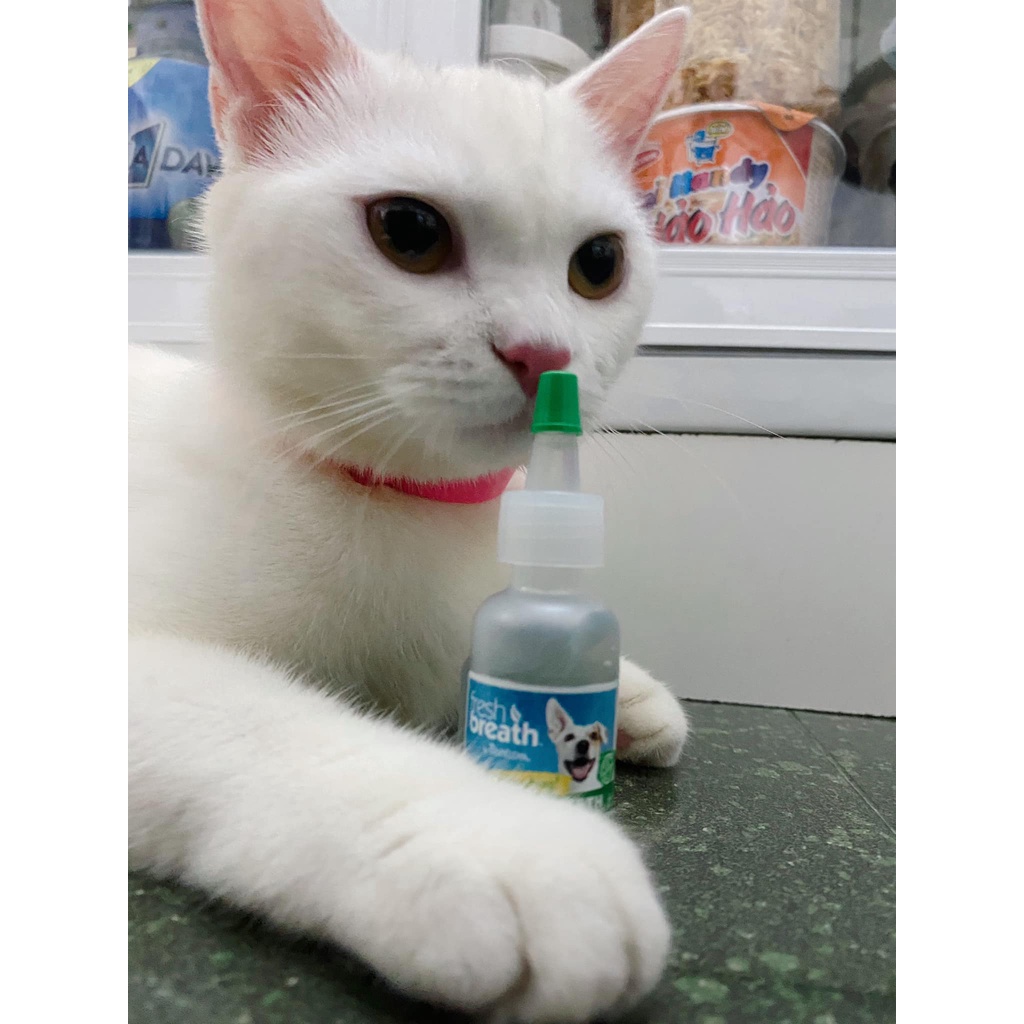 (size mini) Gel vệ sinh răng miệng cho chó Tropiclean giúp làm sạch cao răng và đem lại hơi thở thơm mát 15ml xuất xứ Mỹ