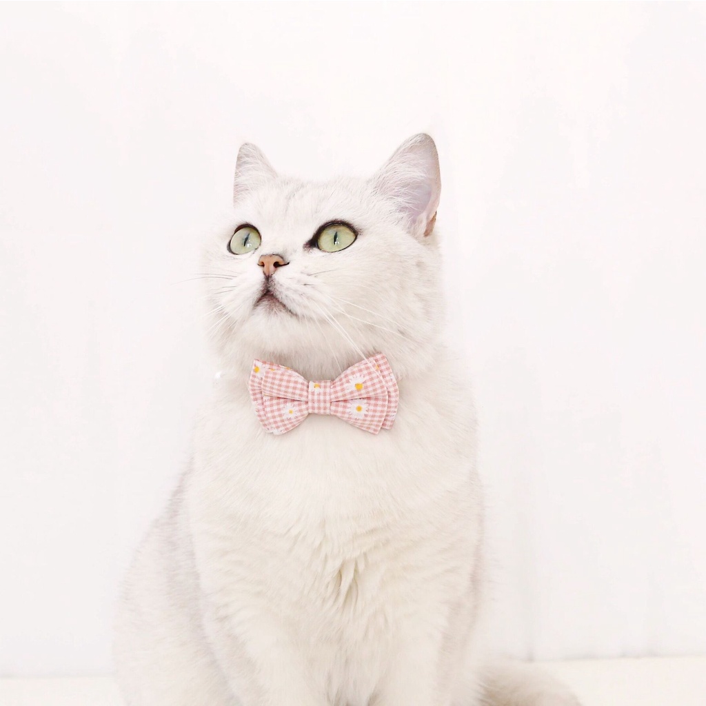 Vòng cổ thắt nơ họa tiết hoa dễ thương dành cho thú cưng