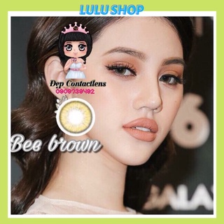 Lens Vassen Bee brown