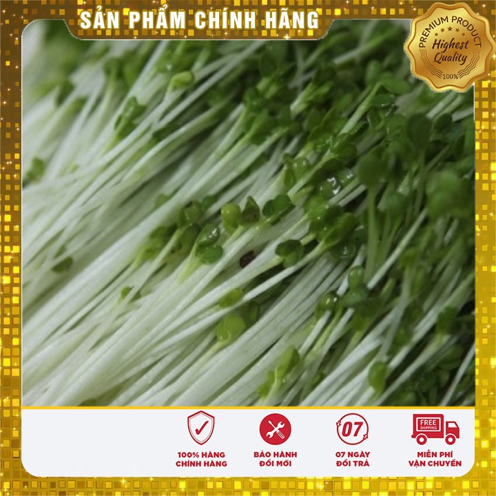 Hạt giống Rau mầm Cải Ngọt ( 50 gram)