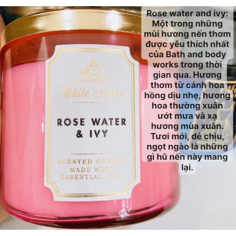 Nến thơm 3tim bath & body works Rose Water Ivy