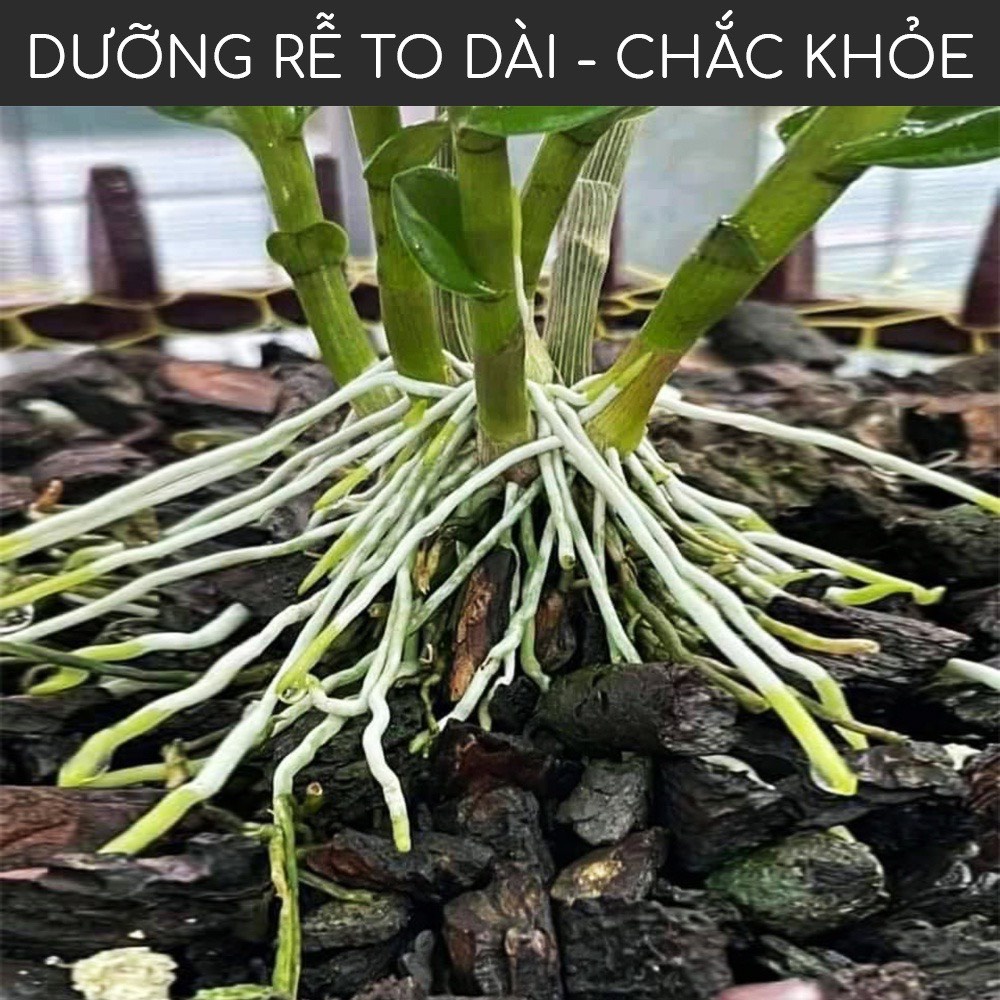 [Chính hãng] Bio Root 100ml – Kích Rễ Cực Mạnh Nhập Khẩu Từ Mỹ Dành Cho Hoa Lan Cây Cảnh