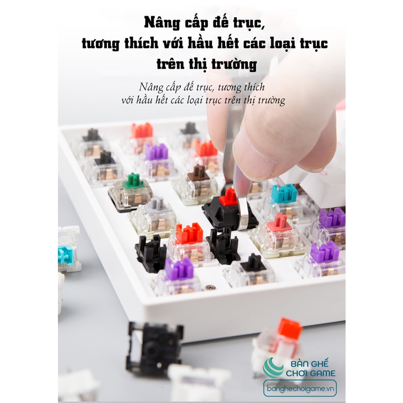 Bàn phím cơ không dây Newmen GM840 Hot Swap Outemu Switch