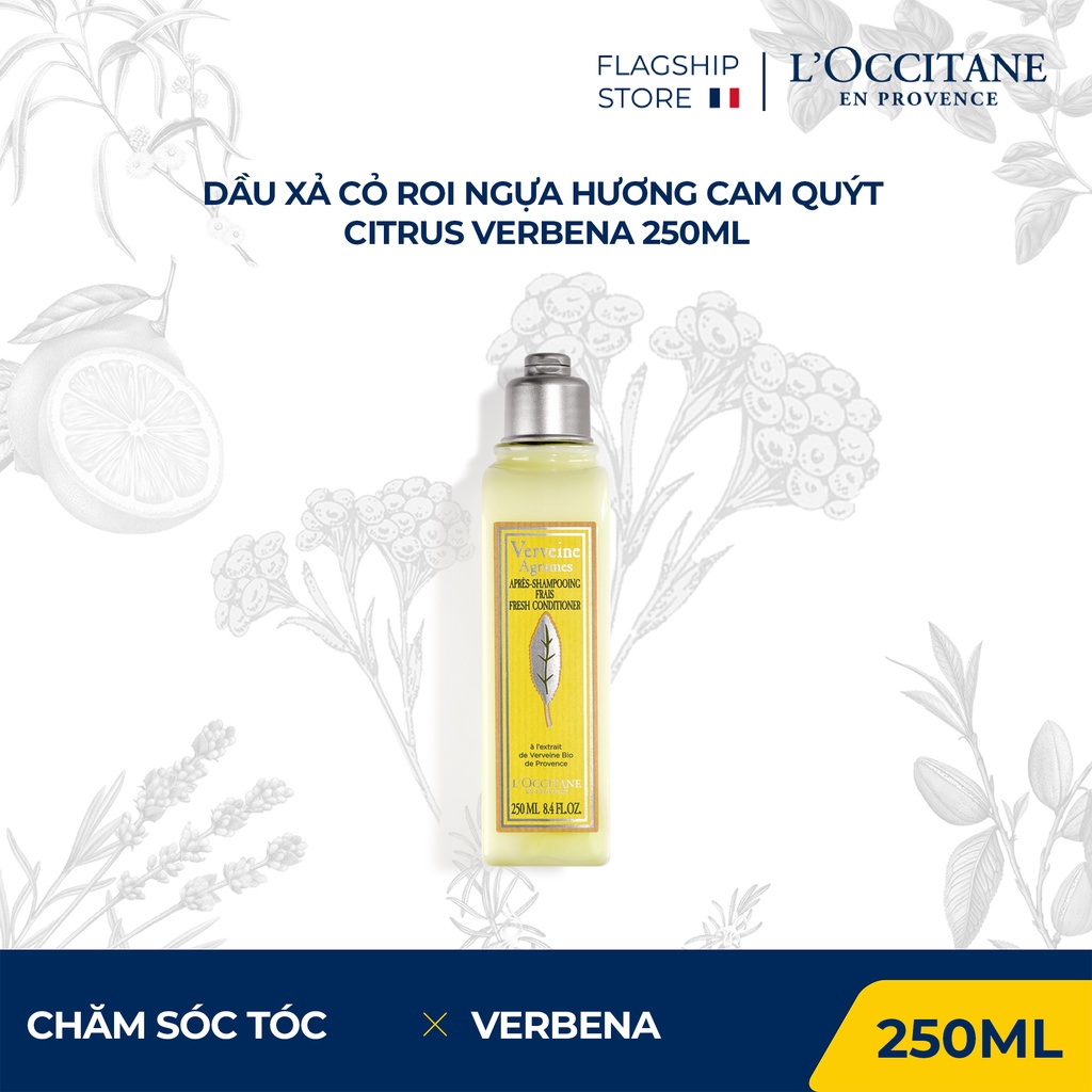 Dầu xả L’occitane Cỏ Roi Ngựa hương Cam Quýt 250ml