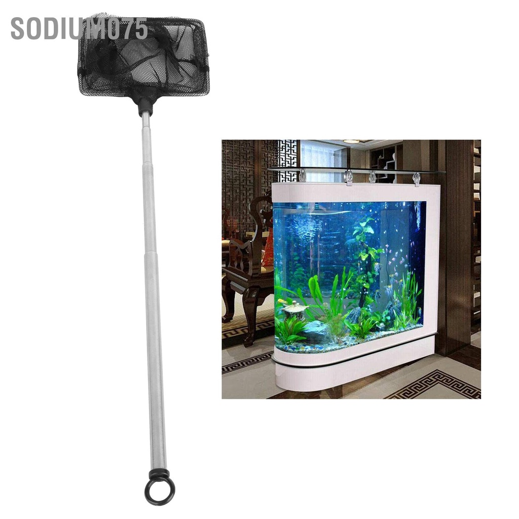 Sodium075 Lưới đánh cá Nylon tôm với tay cầm bằng thép không gỉ cho bể cảnh