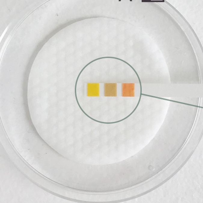 Pad dưỡng diếp cá TIPI&CO Houttuynia Cordata 89% Calming Toner Pad 60pads