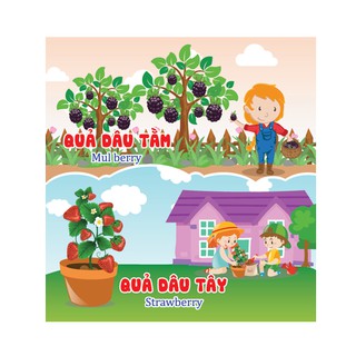 Sách - Thỏ Con Nhận Biết Trái Cây