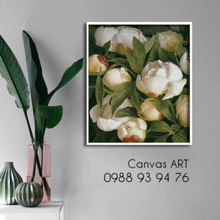 Tranh canvas treo tường - hoa tulip - 50x60cm