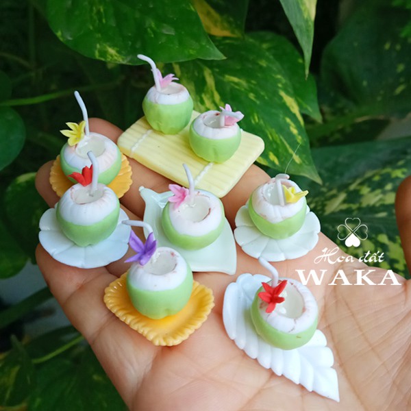 Dừa Xiêm Ướp Lạnh Mini - Rau Củ Quả Mini 1/12