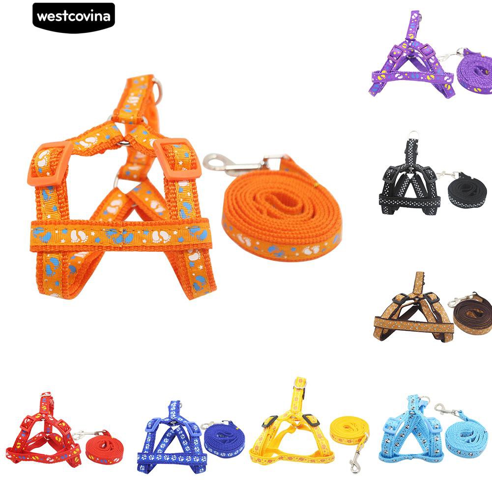 Dây Dắt Chó Đi Dạo Tiện Lợi Màu Sắc Sặc Sỡ