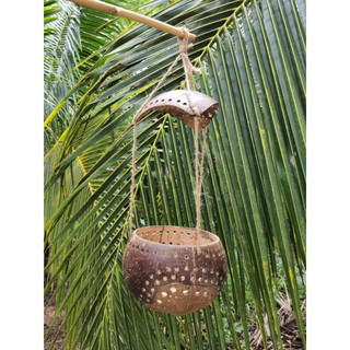 Lồng đèn Trung thu Gáo Dừa/ Lồng đèn mẫu đáy để thô