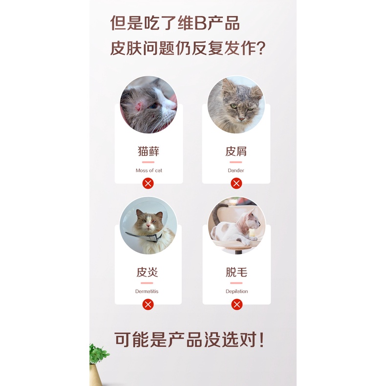 Gel dưỡng lông Inkat với Vitamin nhóm B hỗ trợ các vấn đề về da và lông cho mèo IN12