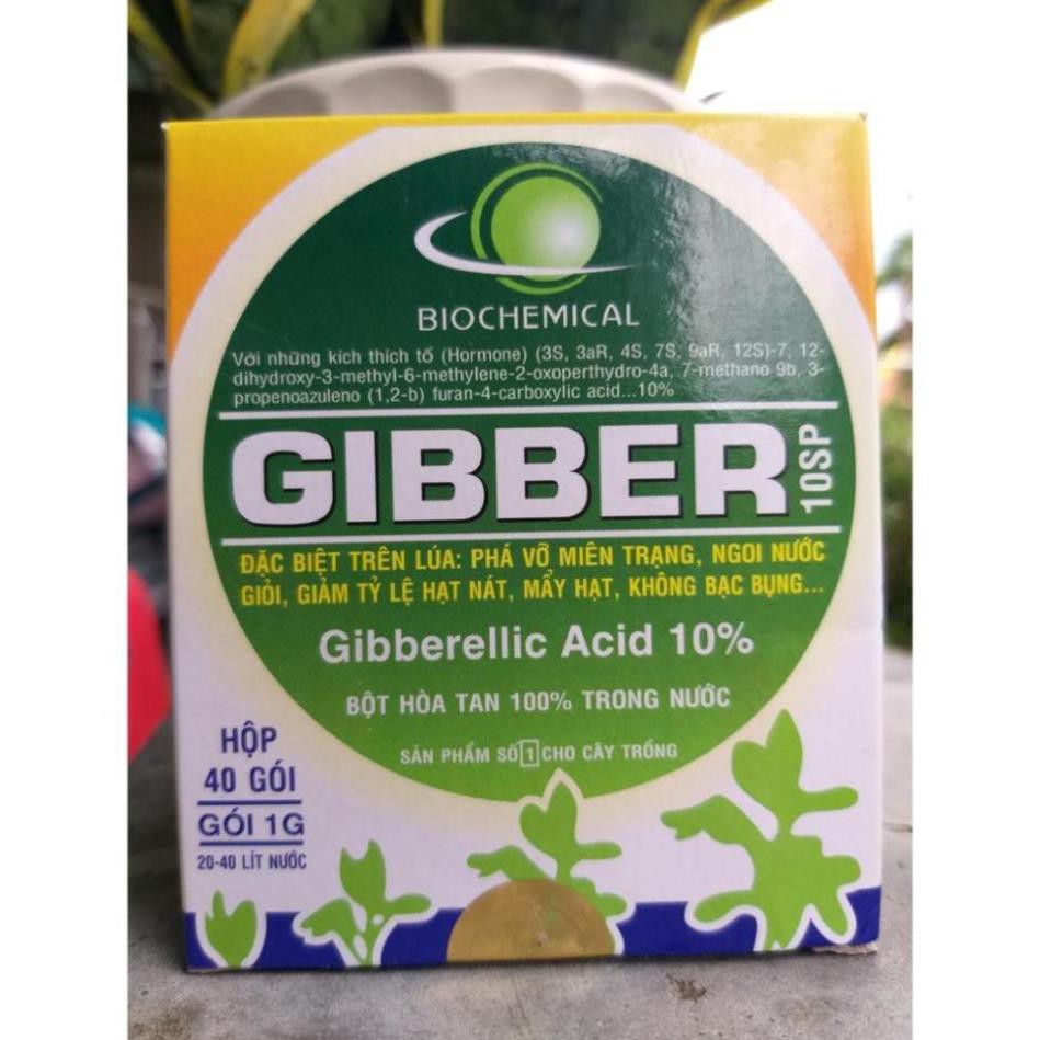 Phân Bón Lá GIBBER Kích Thích Tăng Trưởng