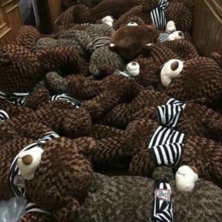 Gấu Teddy 1m6