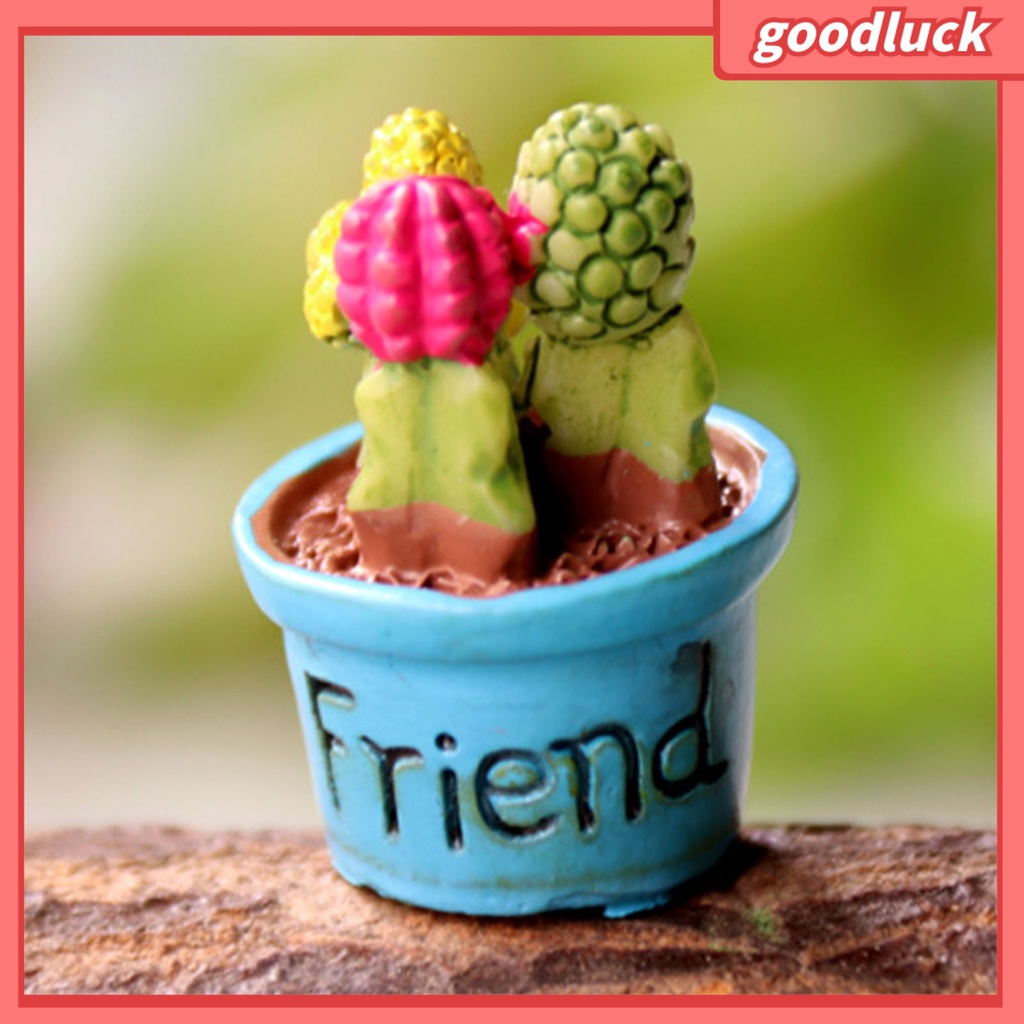 Mô hình cây mọng nước mini trang trí sân vườn DIY