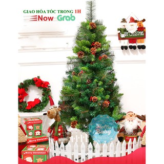 Cây thông Noel 3 loại lá trang trí tiệc Noel - Giáng Sinh