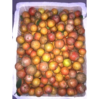 Chanh đào mật ong 500 ml
