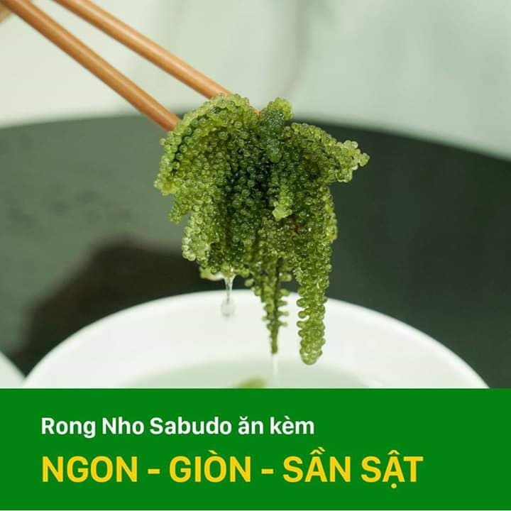 Rong nho Sabudo tách nước 1 gói dùng thử 20gram - tặng kèm 1 gói nước sốt mè rang Kewpie 15ml