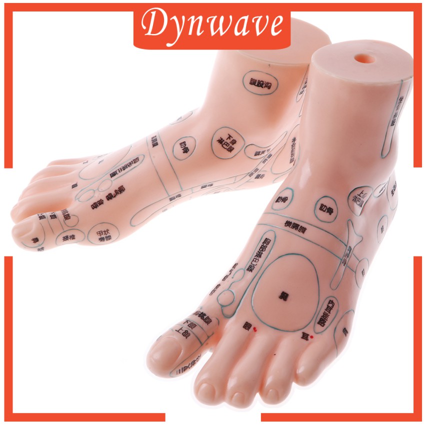 Mô Hình Châm Cứu Mát Xa Chân 19cm