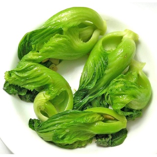 Giống rau cải bẹ dưa (20gr)