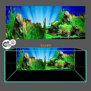 Tranh dán hồ cá 3d , hồ cá rồng , la hán , cá dĩa …