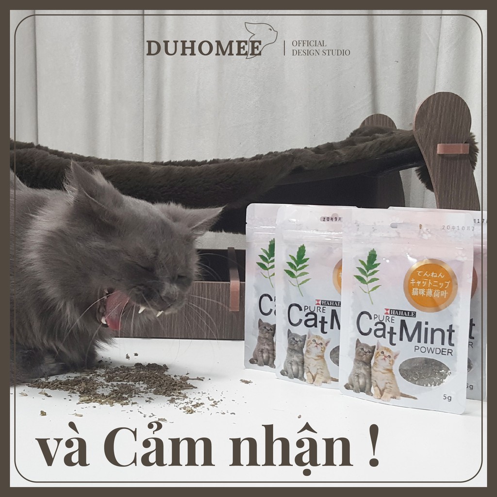 Cỏ bạc hà catnip cho mèo phê pha | Catnip | Duhomee