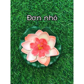 Hoa sen thả nước - hoa thả nước