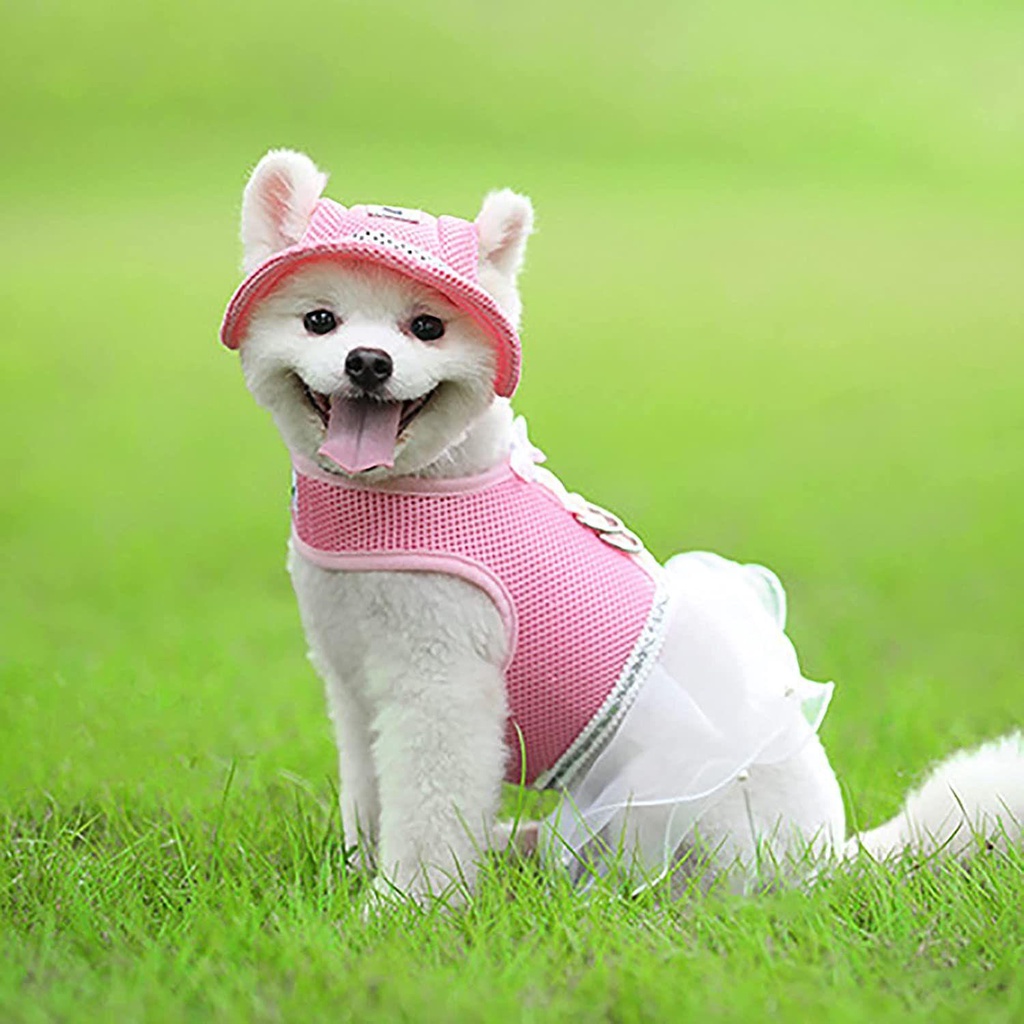 Mũ Lưỡi Trai Chống Nắng Phối Lưới Thời Trang Mùa Hè Cho Thú Cưng
