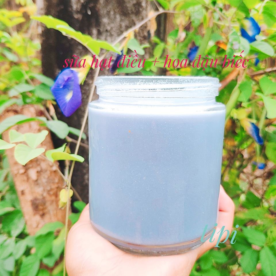 Hoa đậu biếc khô