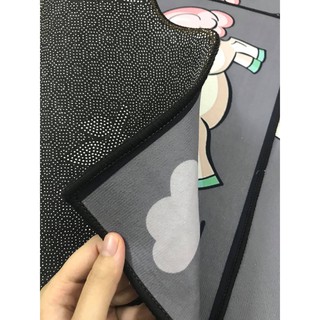 Thảm chùi chân cute thảm nỉ lì chất đẹp 40x60cm