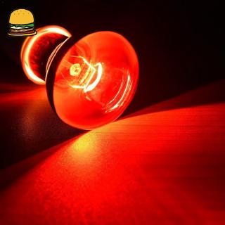 Đèn LED sưởi ấm chuyên dùng cho bò sát