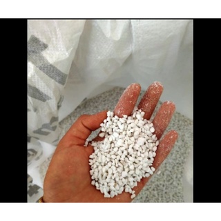 Đá perlite trồng sen ( Đá trân châu) giúp cây thoát nước tốt