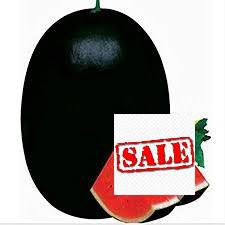 10 hạt giống dưa hấu đen ruột đỏ SALE