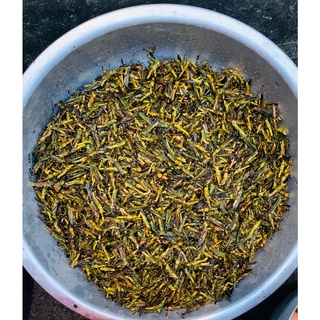 Hạt Cào Cào - Hạt Châu Chấu