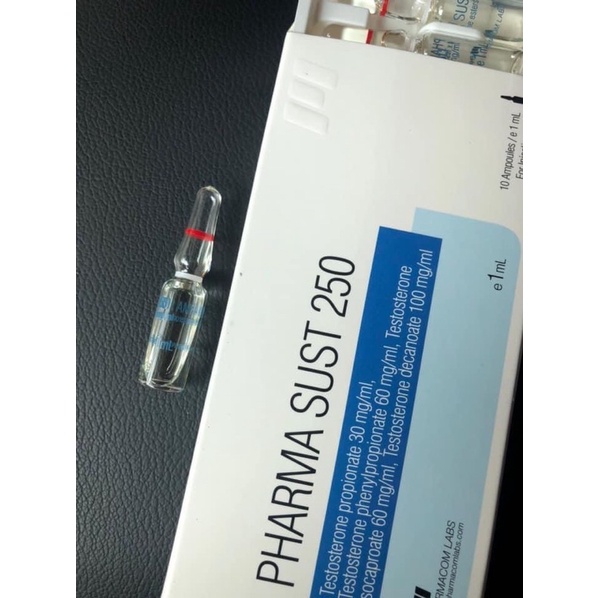 Sus Đức ( pharma sus)