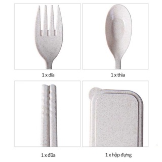 Bộ Đũa Thìa Dĩa Lúa Mạch An Toàn Nhiều Màu