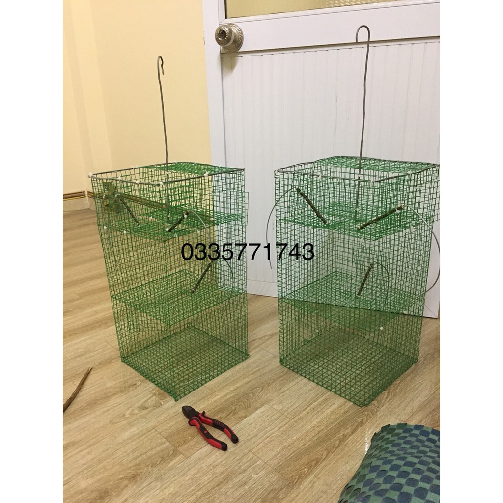 lồng bẫy chim tự động