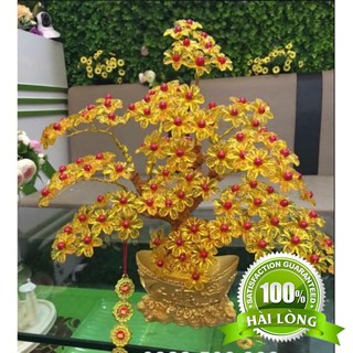 [ XẢ KHO 3 NGÀY] PHONG THỦY VIỆT- CÂY KIM TIỀN TÀI LỘC VÀNG