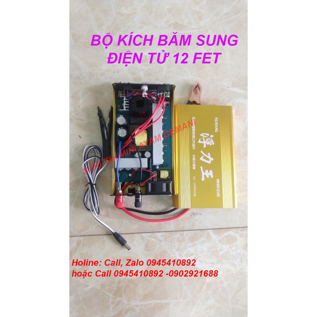 Bộ kích điện tử 12 sò - băm xung 12v