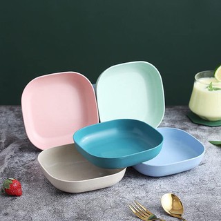Set đĩa nhựa lúa mạch siêu rẻ